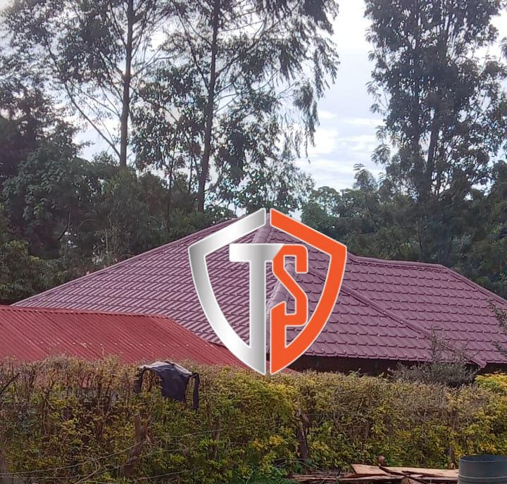 Topshieldmabati logo